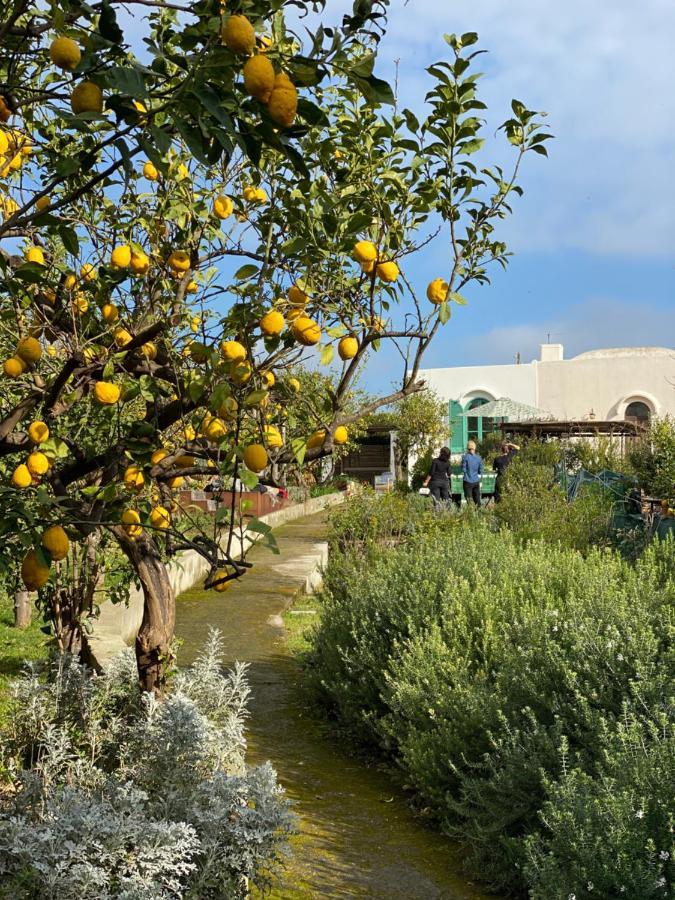 Capri Suite Marina Grande المظهر الخارجي الصورة
